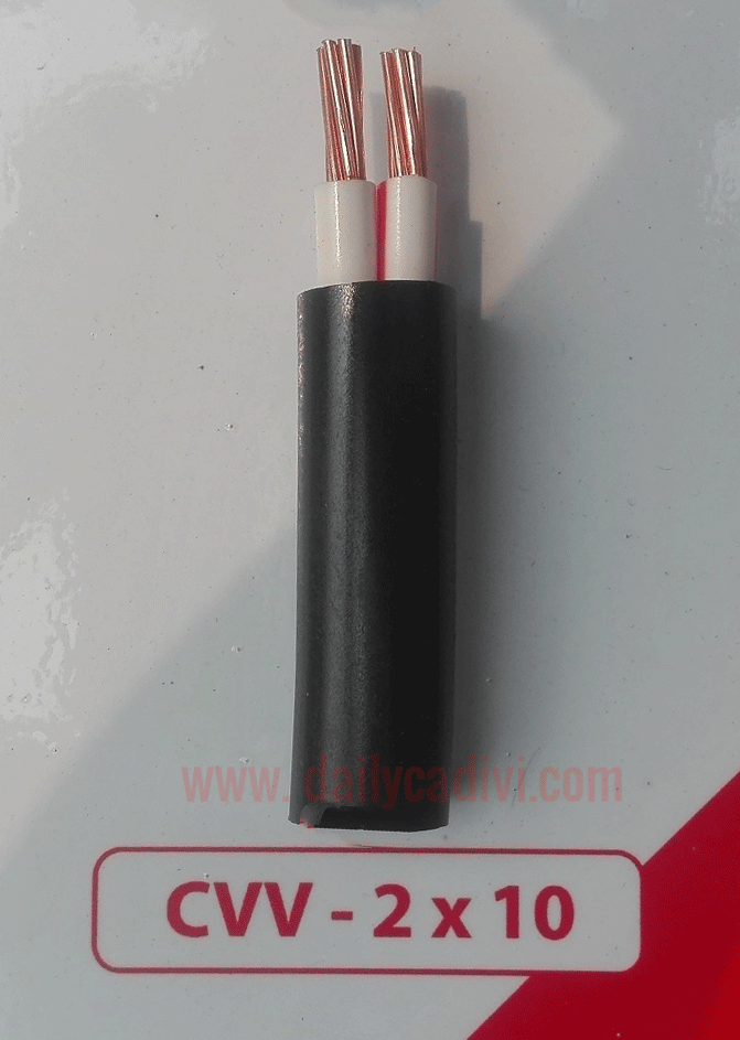 CVV 2x10mm